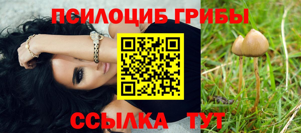 Псилоцибиновые грибы мухоморы  Вход с VPN  Губкинский  Псилоцибиновые грибы ЛСД 